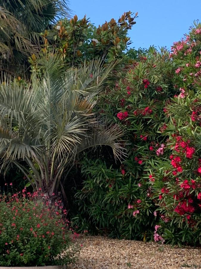 La Dolce Vita Occitane Conilhac-Corbières Buitenkant foto